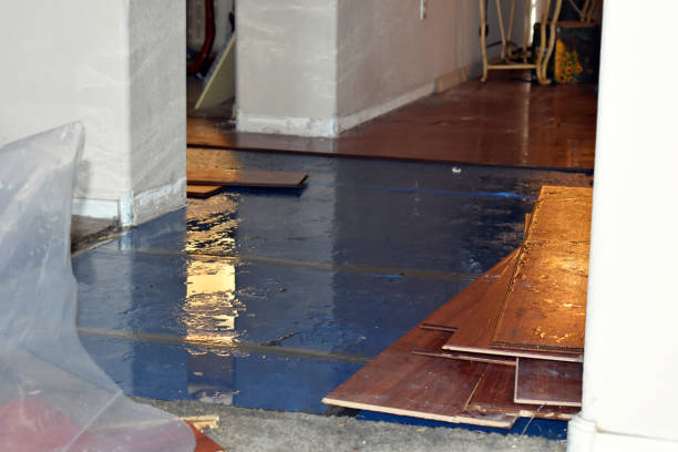 Professional Water Damage Restoration technician working in Eaton Rapids, MI